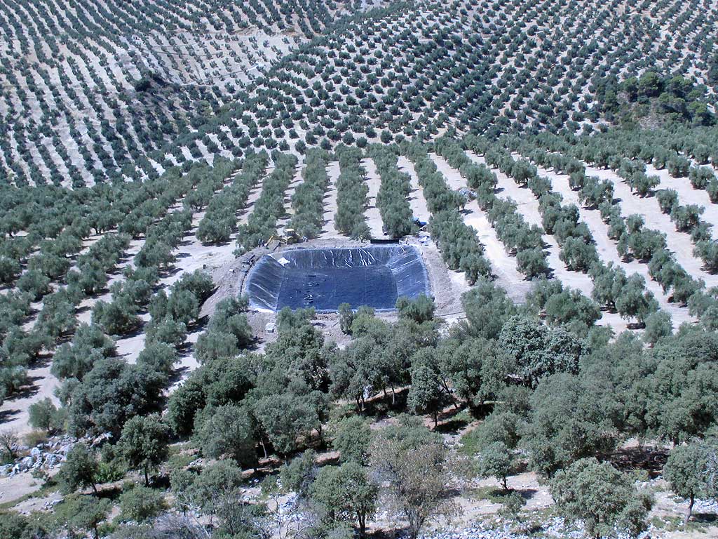 Trabajo de adaptación de terreno para balsa de riego y su posterior impermeabilización mediante lámina separadora de geotextil y polietileno de alta densidad, a cargo de la empresa Cantitec