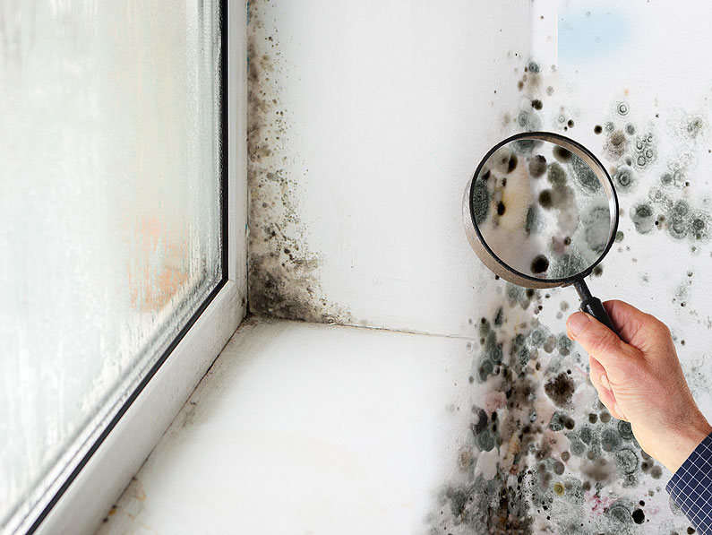 Cómo puedo quitar el olor a humedad en la habitación?